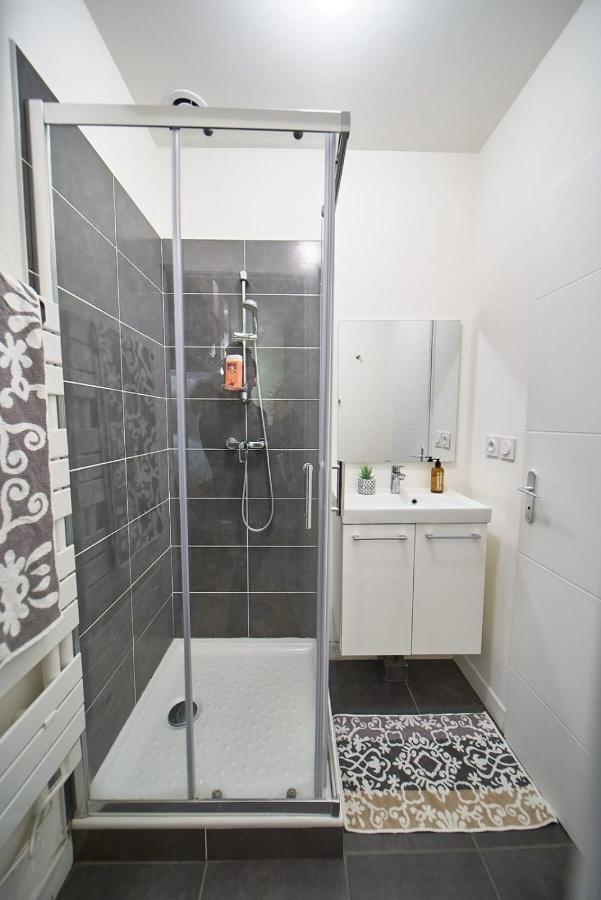 Studio Cosy Valmy- Vaise- Center Of Lyon Ngoại thất bức ảnh